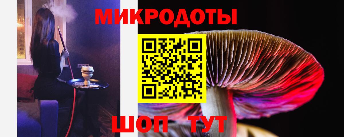Псилоцибиновые грибы прущие грибы  Вход с VPN  Осинники 